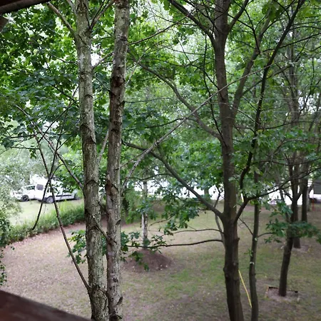 Holiday home Kuca Na Drvetu Novi Becej