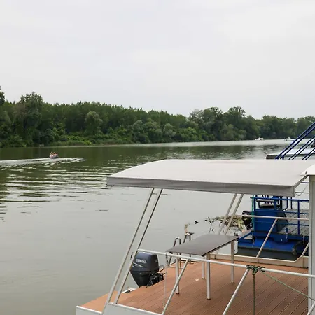 Kuca Na Drvetu