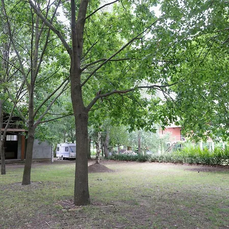 Holiday home Kuca Na Drvetu Novi Becej