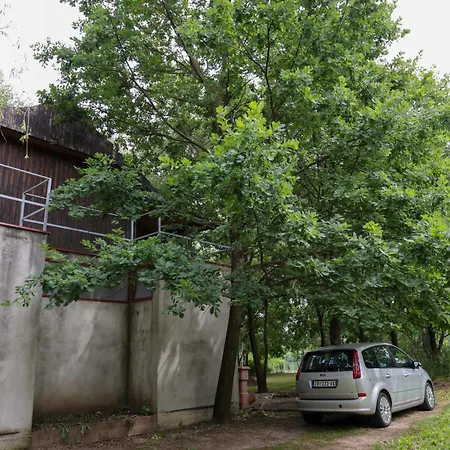 Kuca Na Drvetu Holiday home Novi Becej