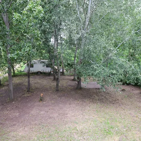 Kuca Na Drvetu *